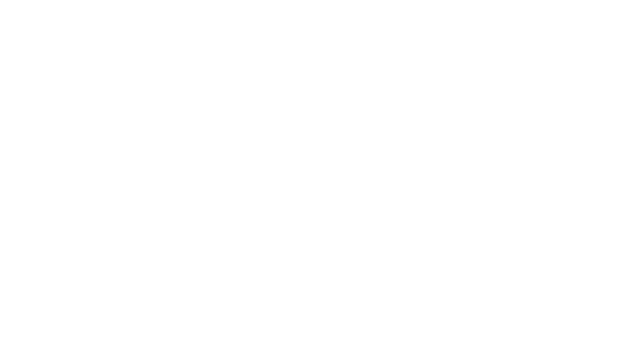 ndm logo white